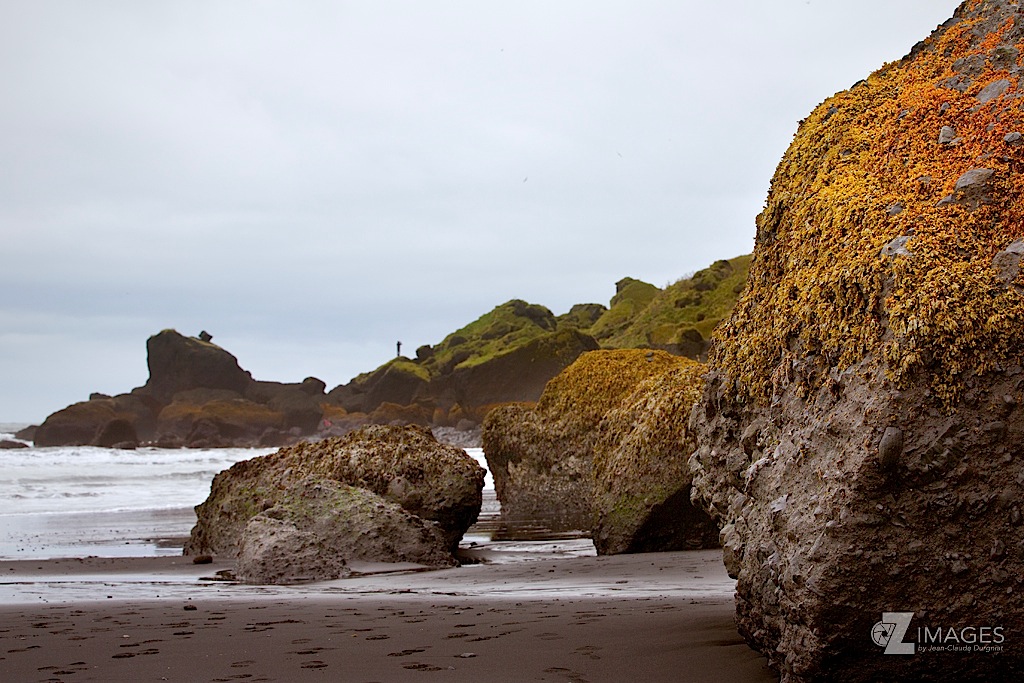 Couleurs automnales sur la plage
