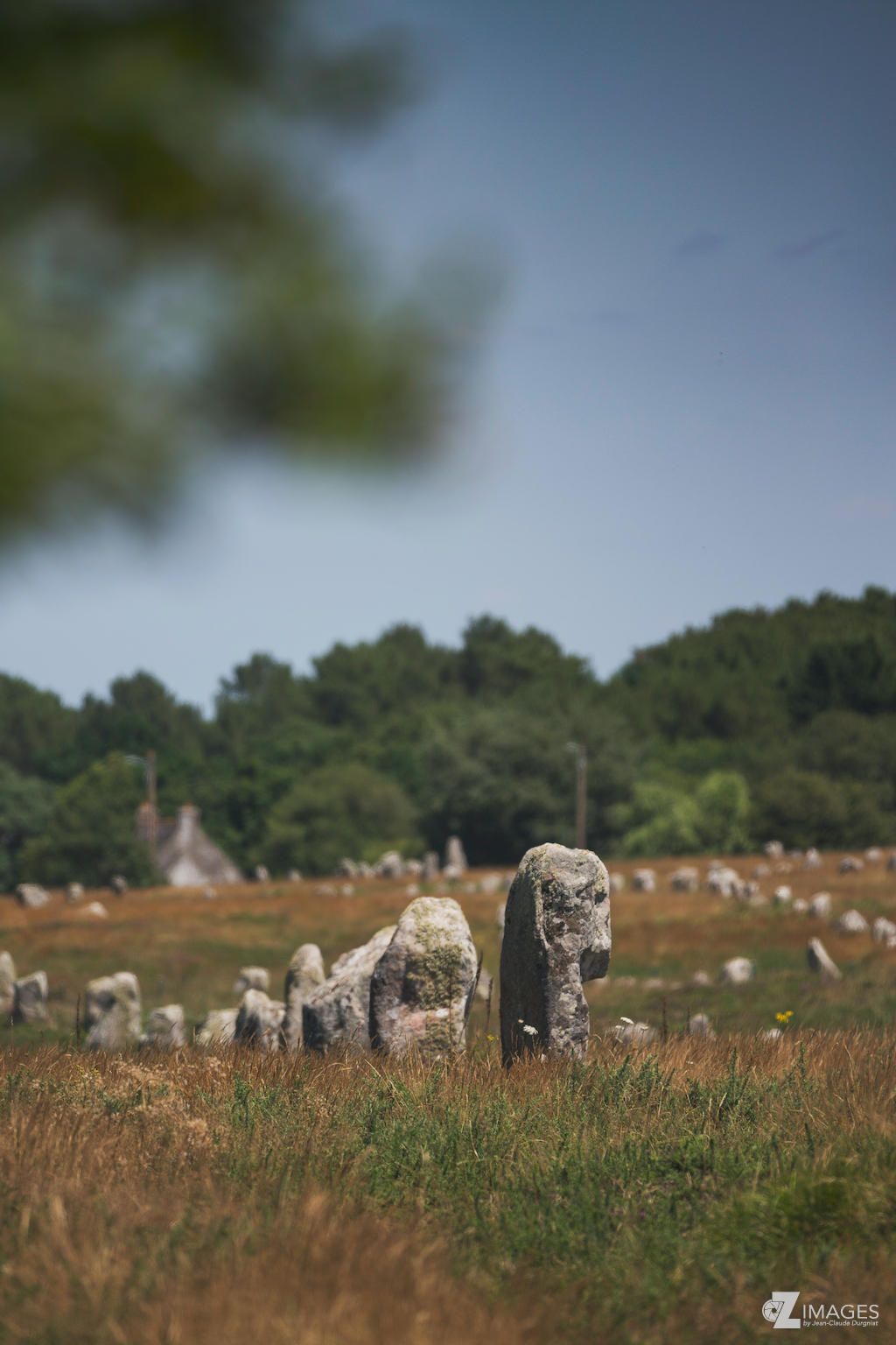 Vue des alignements du Menec