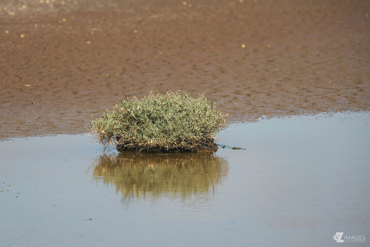 Dans les Marais Salants de Saint Armel