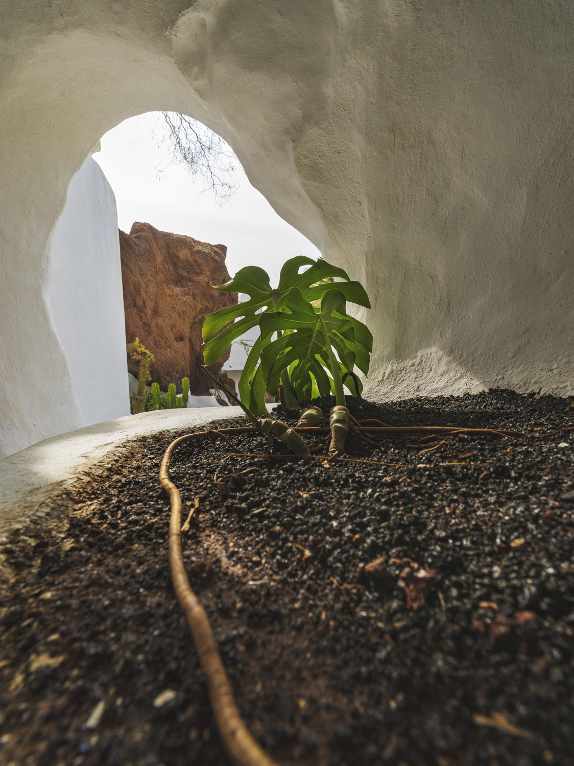 Lanzarote 20211122 0132 web