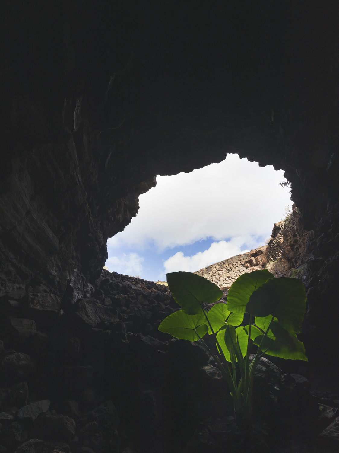 Lanzarote 20211123 0307 web