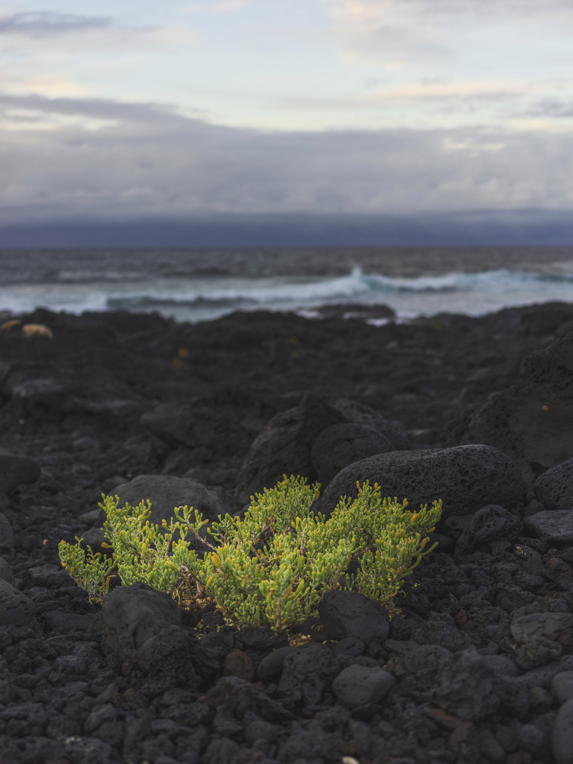 Lanzarote 20211126 0569 web