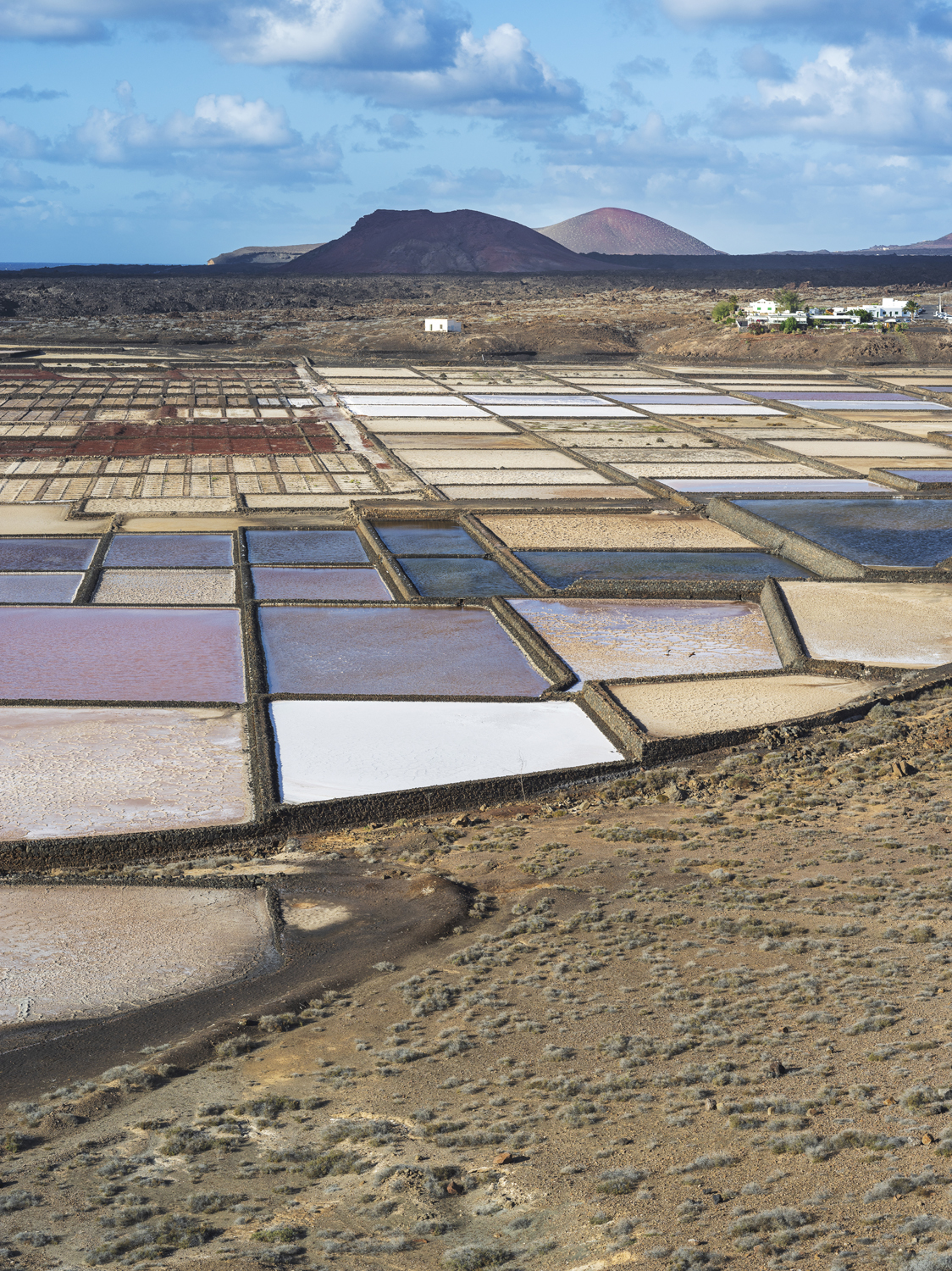 Lanzarote 20211127 0689 web