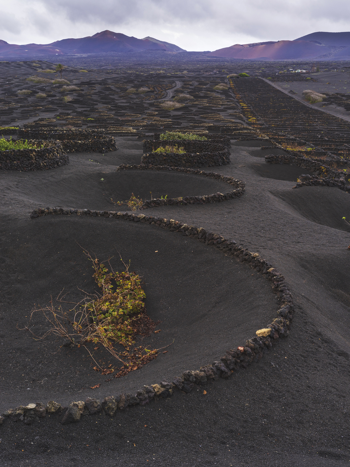 Lanzarote 20211126 0542 web