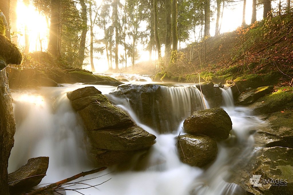 Rivière sauvage