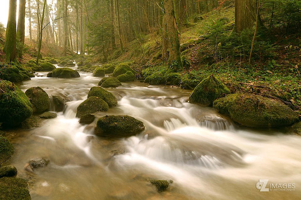 Rivière sauvage