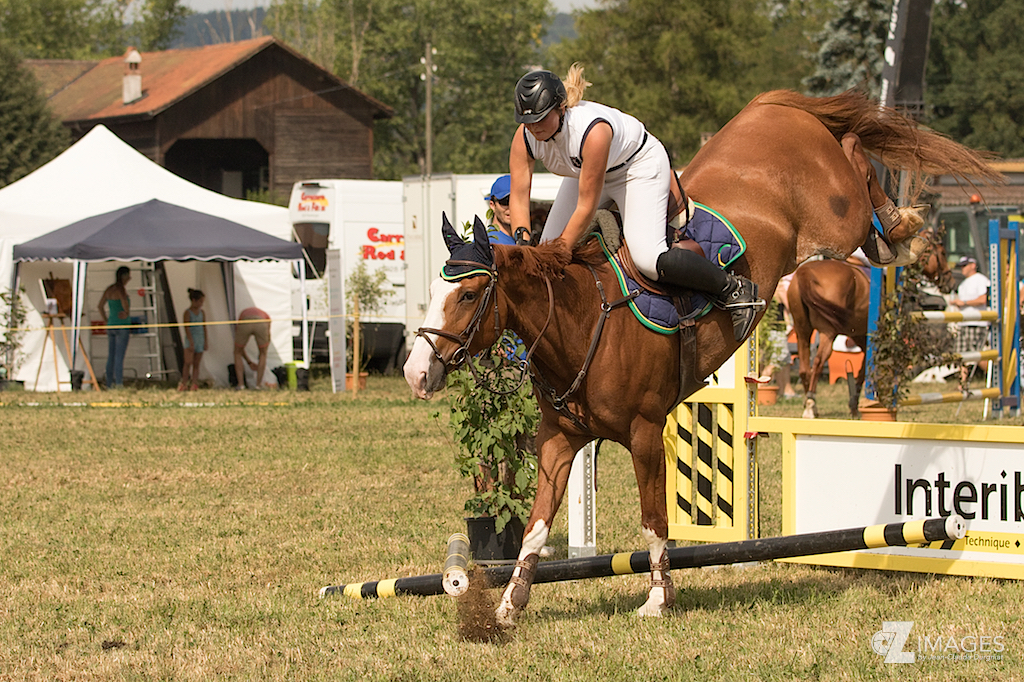 Concours hippique de Palézieux 2015