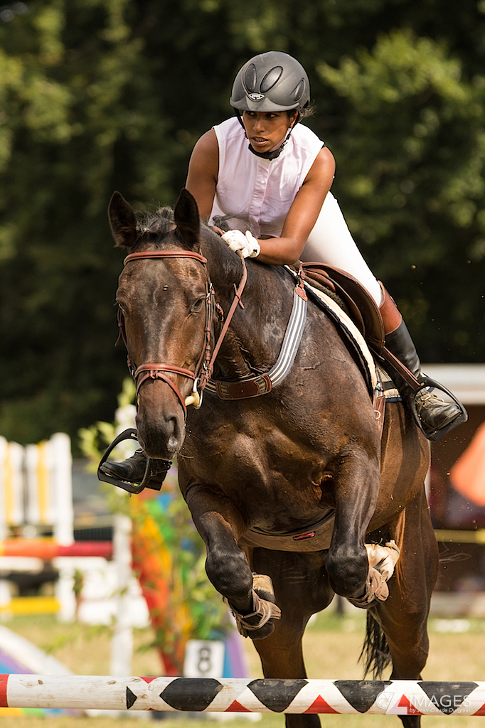 Concours hippique de Palézieux 2015